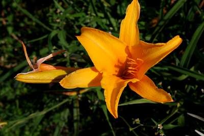 bali_2009_607.jpg
