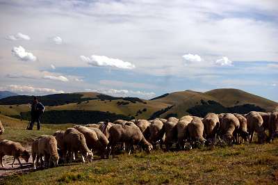 15.mt._cucco_castelluccio_06_0337.jpg