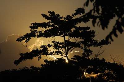 bali_2009_1271.jpg