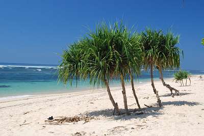 bali_2009_901.jpg