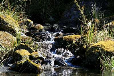 2_neuseeland_2008_120.jpg