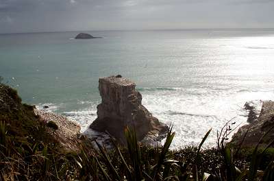 5_neuseeland_2008_581.jpg