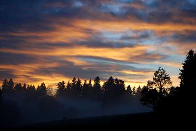 f_hn_und_nebel_1.11.08_006.jpg