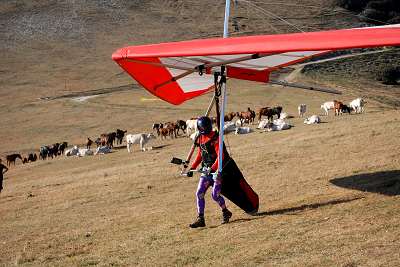 15.mt._cucco_castelluccio_2009_087.jpg
